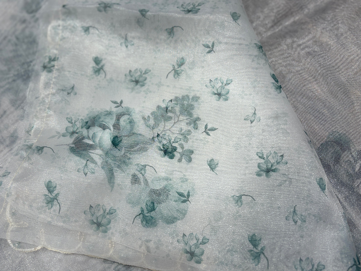 Organza saree