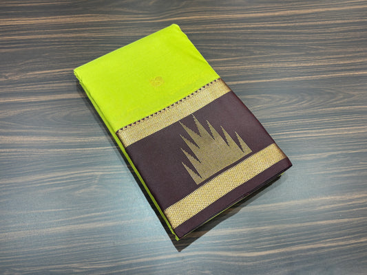 Semi Kanchipuram silk