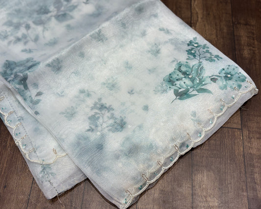 Organza saree