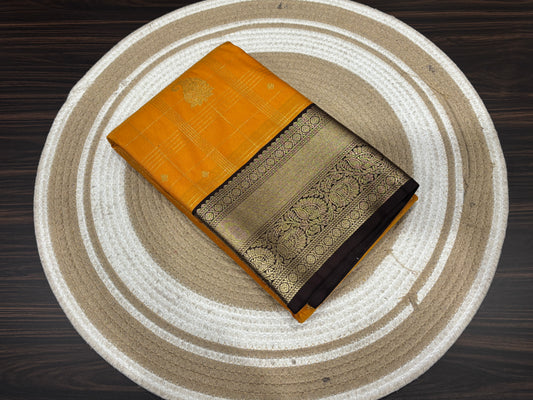 Semi Kanchipuram silk