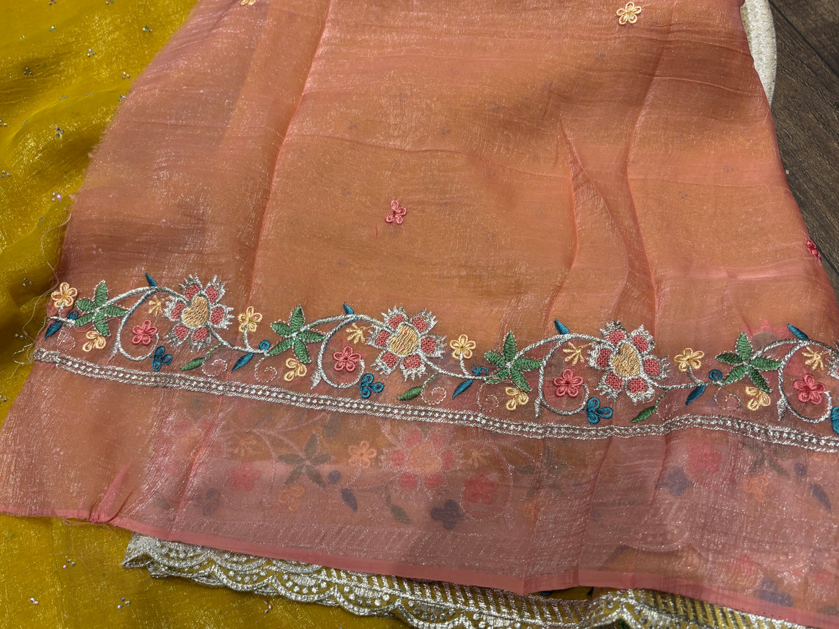 Fancy Saree